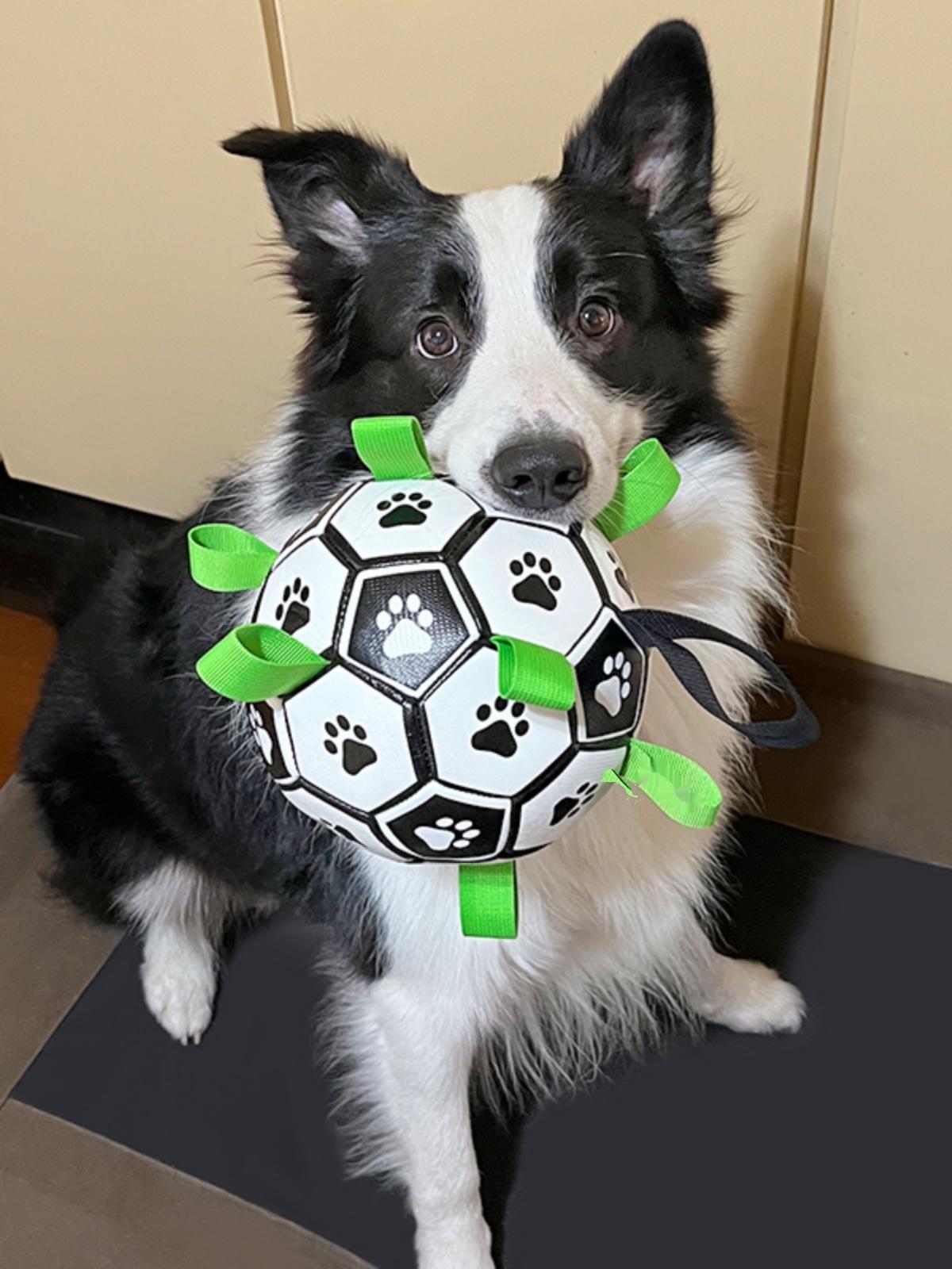 Dog Toys Soccer Ball with Straps