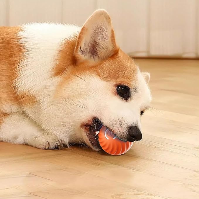 🎁Automatic smart teasing dog ball that can't be bitten🐶