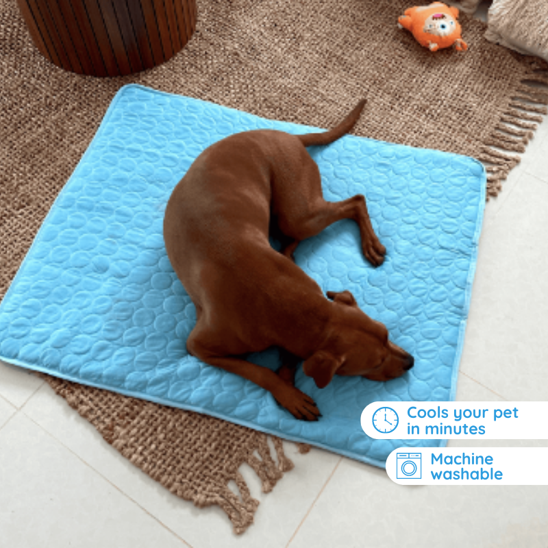 Cooling Mat for Dogs