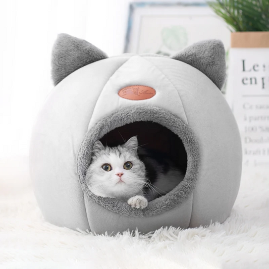 Pet Sleeping Beds