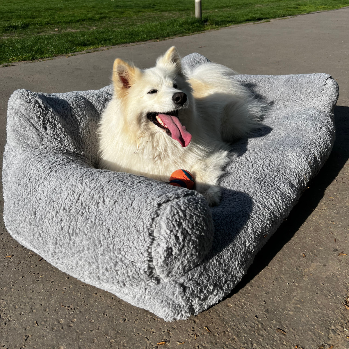 Calming Pet Sofa