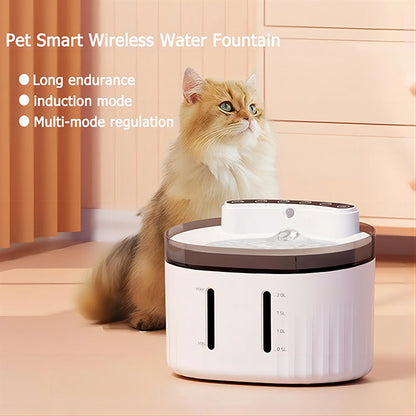 Pet Fountain with Dual Battery Power