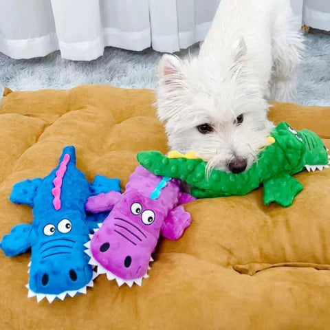 Squeaky crocodile plush for aggressive chewers 🐊