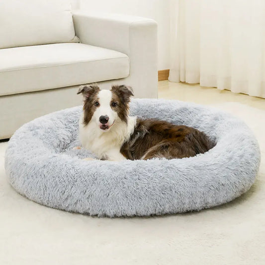 Ellipse Soft Dog Beds