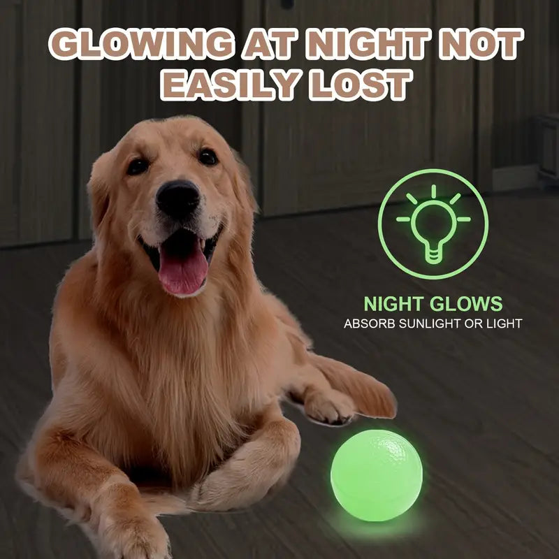 Glow Ball Dog Toy