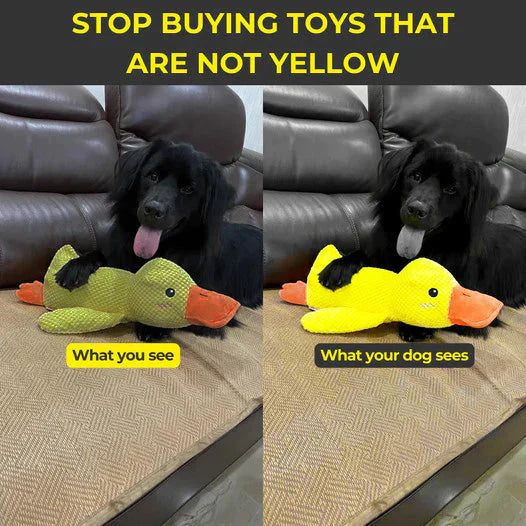 Calming Duck Dog Toy