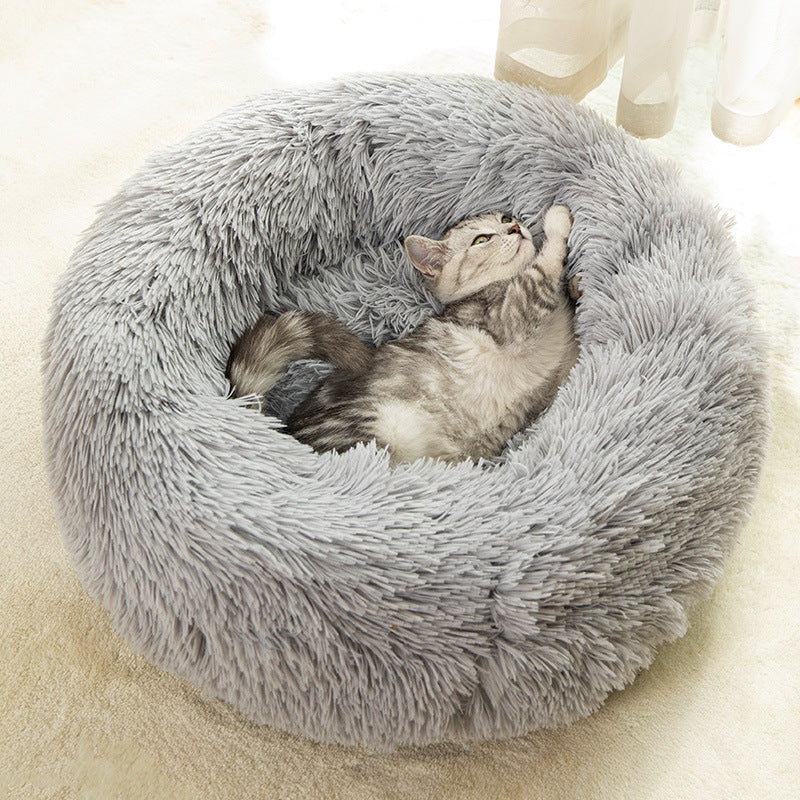 Cats Bed