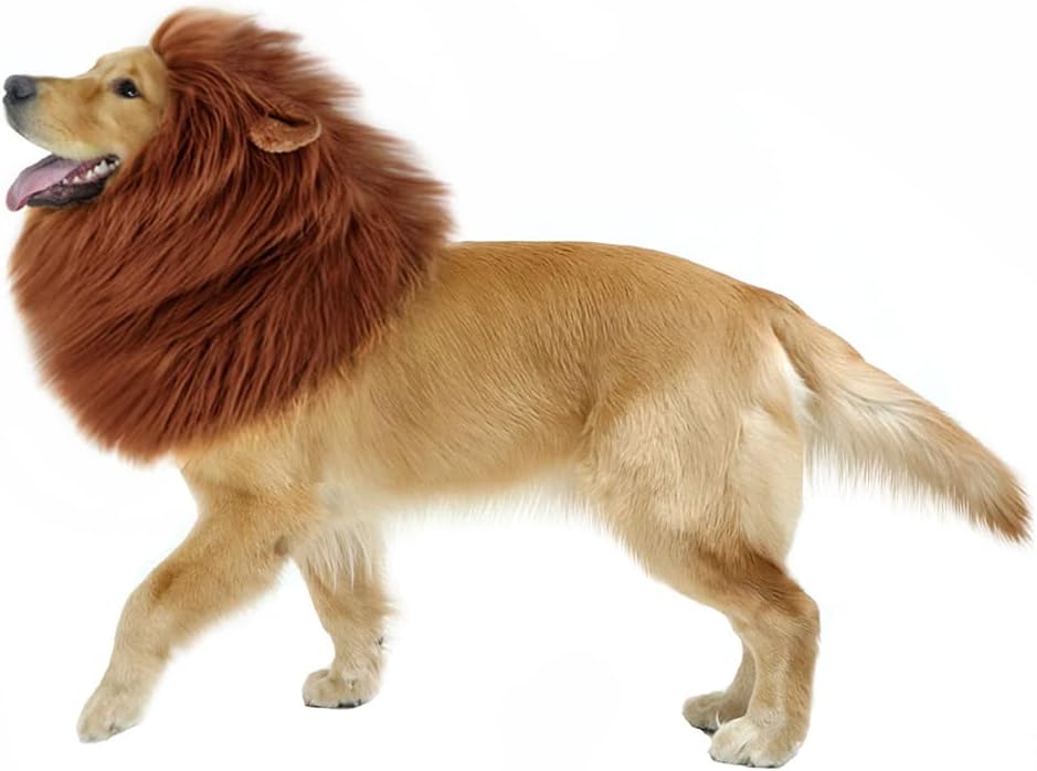 Halloween Fancy Dog Lion Costume