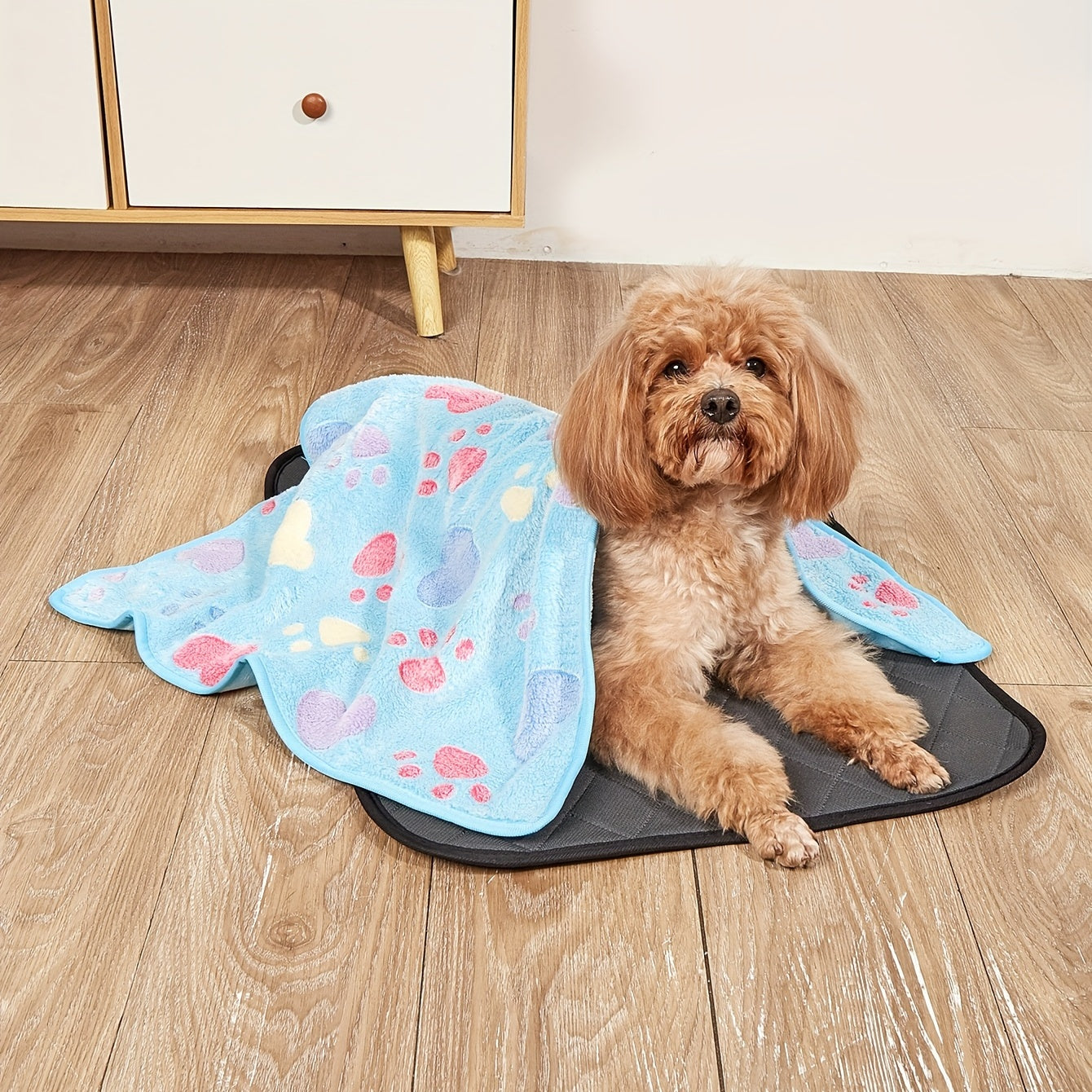 Blanket for Small Dogs