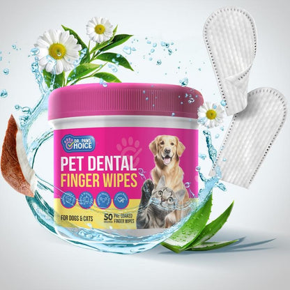 PetCare Gentle Dental Wipes – Safe & Effective Oral Care for Pets