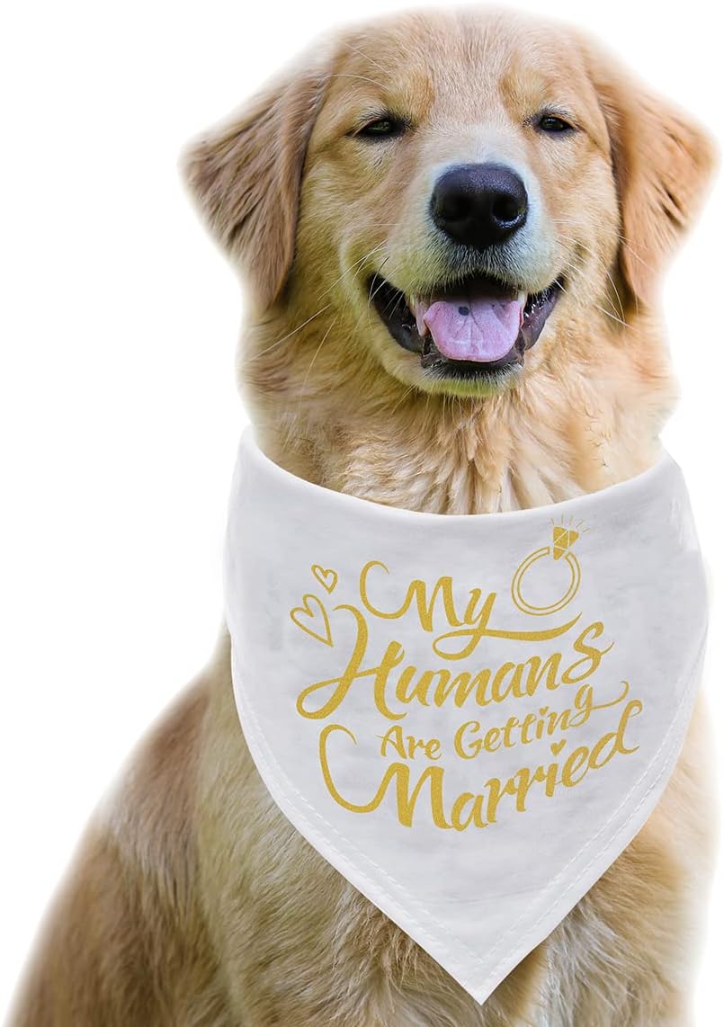 Dog Bandana，Engagement Gift, My Humans are Getting Married