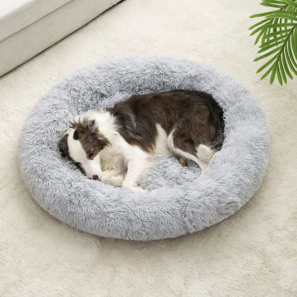 Ellipse Soft Dog Beds