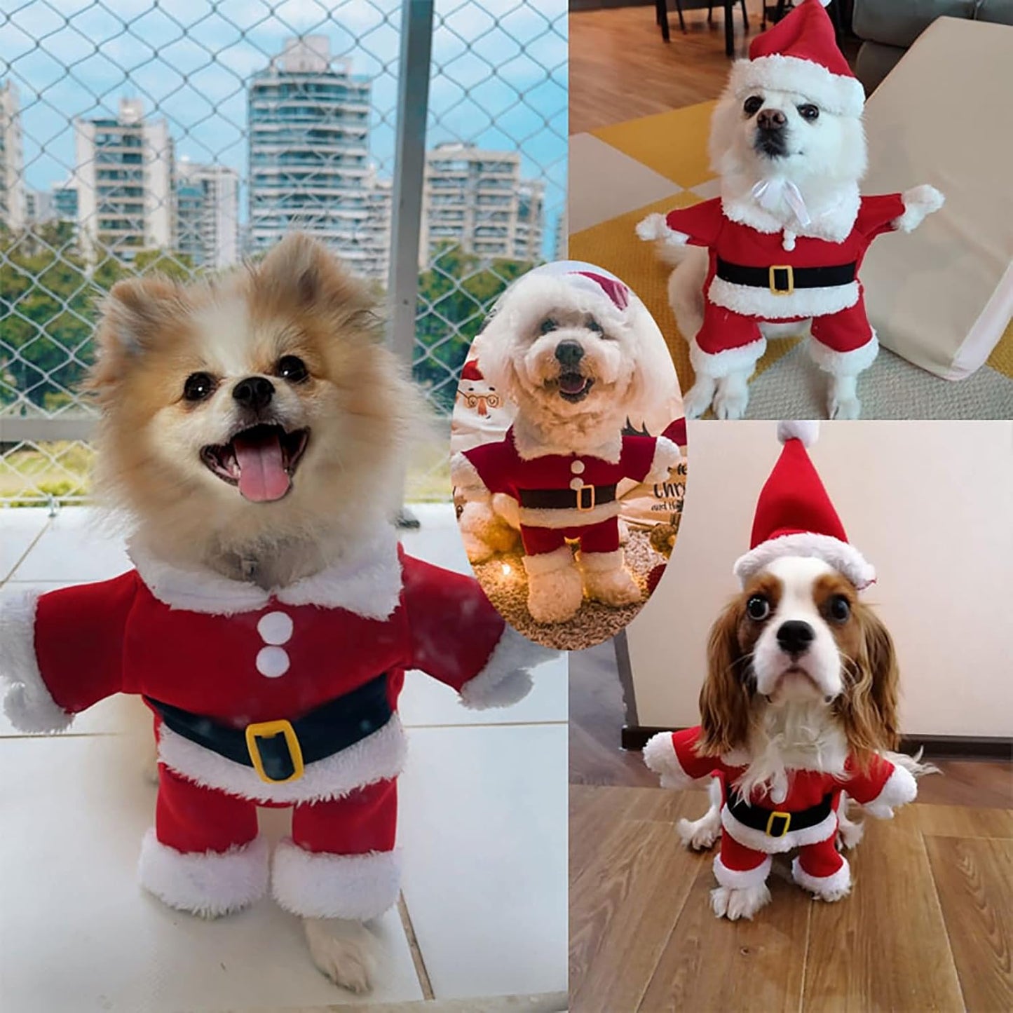 Festive Santa Claus Pet Costume Set