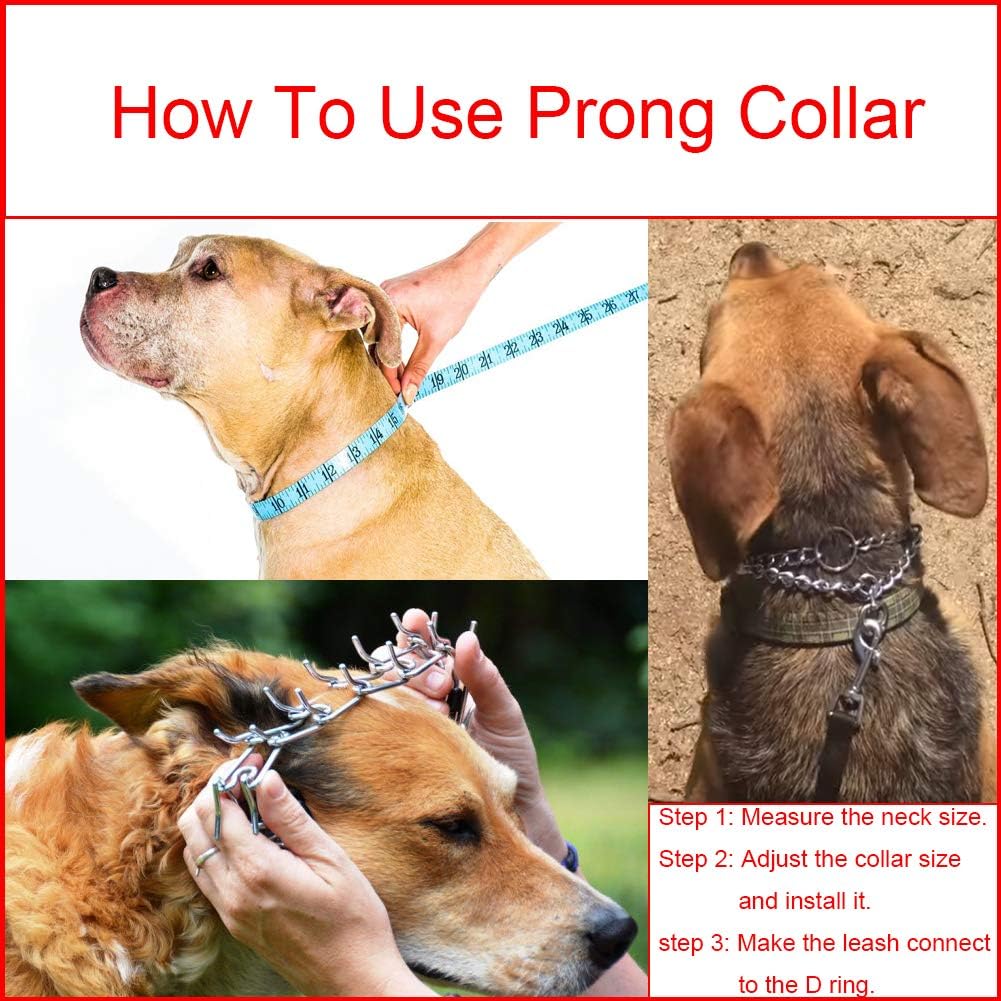 Prong Collars for Dogs, No Pull Dog Collar