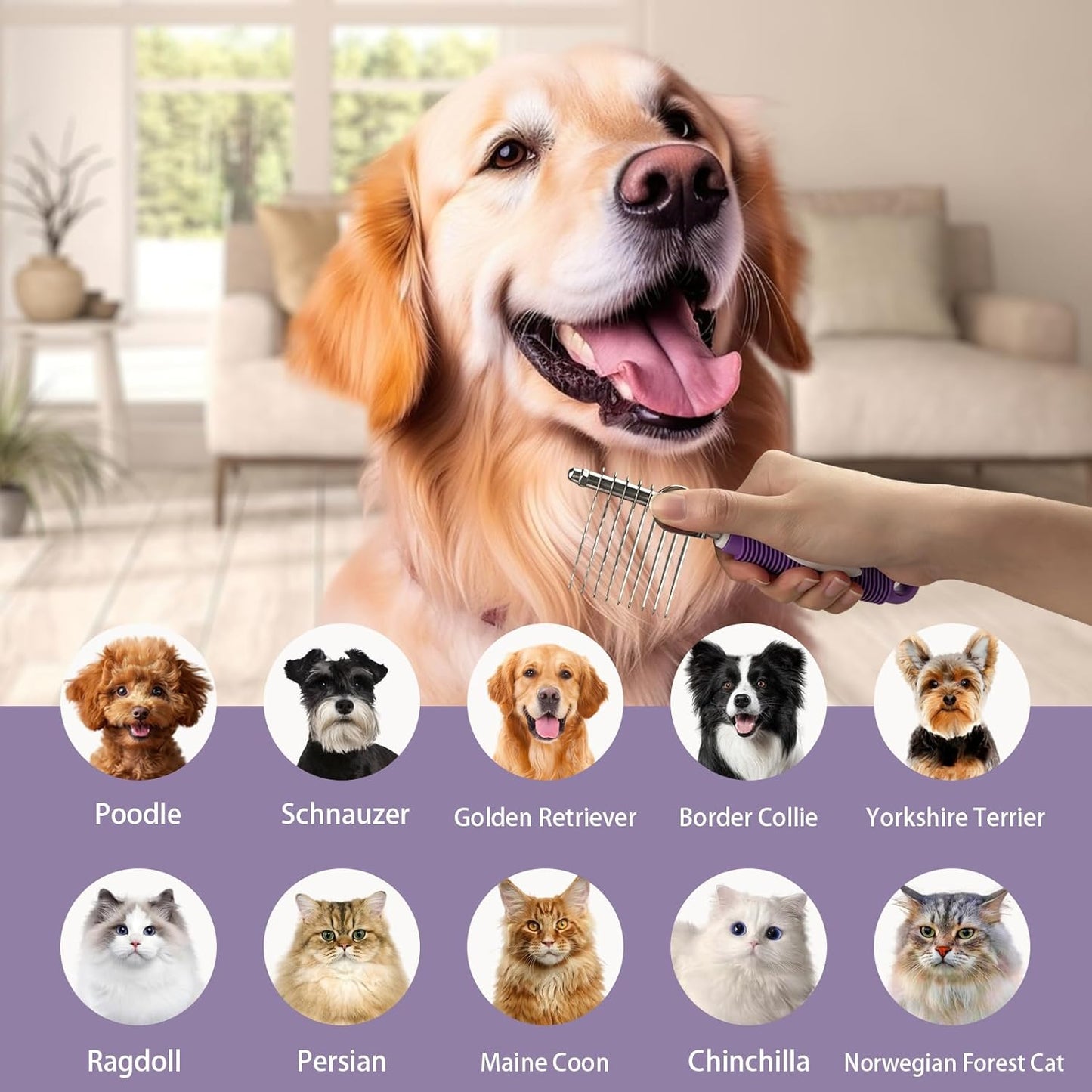 Detangling Pet Comb for Dog