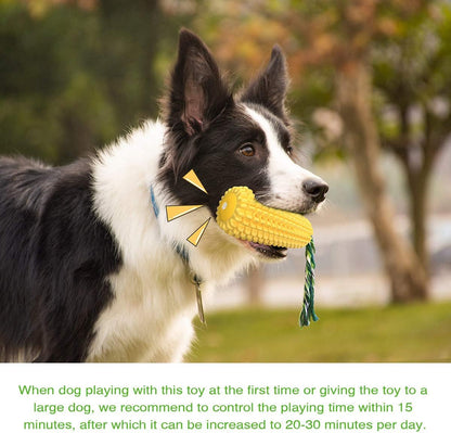 Chew Toys for Aggressive Chewers