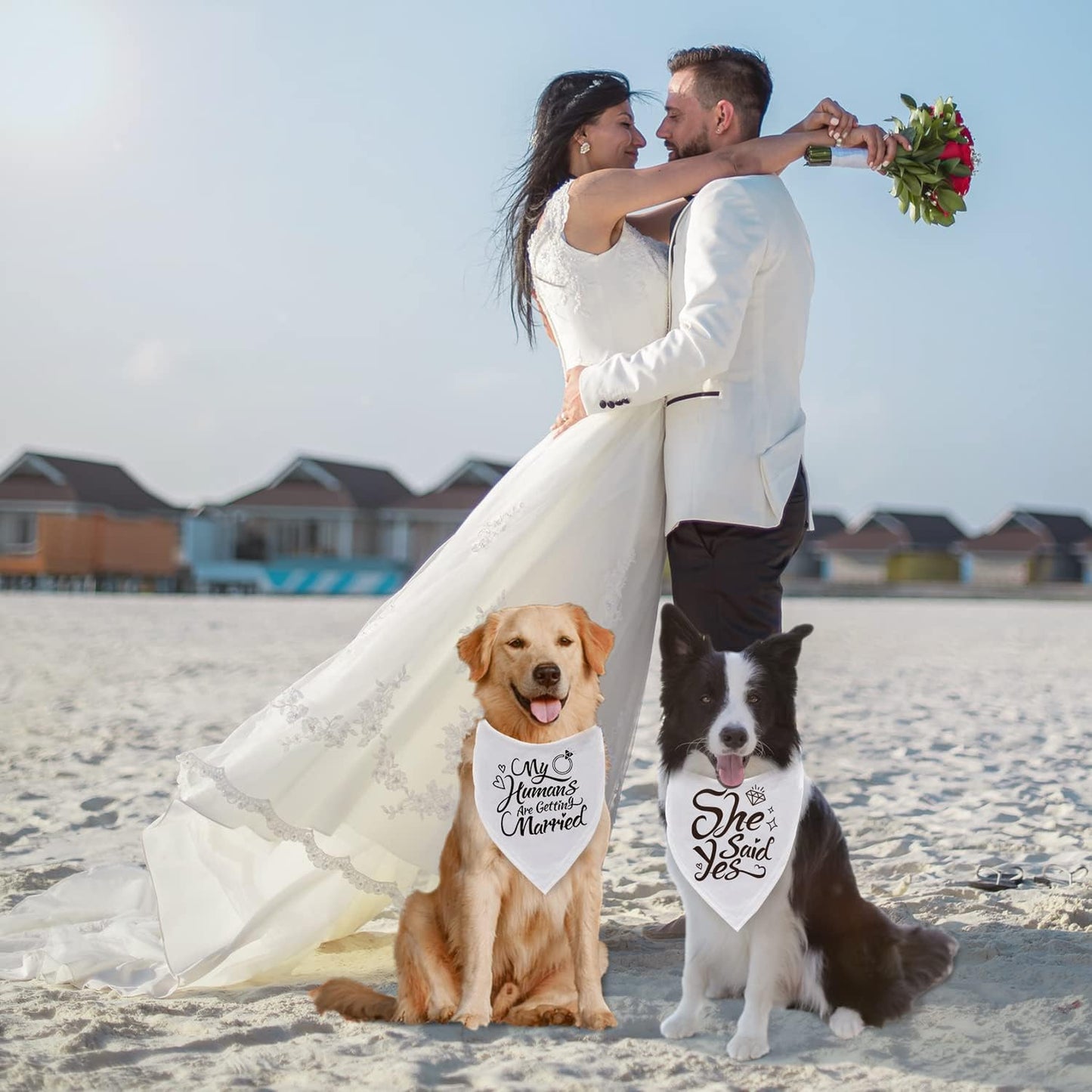 Dog Bandana，Engagement Gift, My Humans are Getting Married