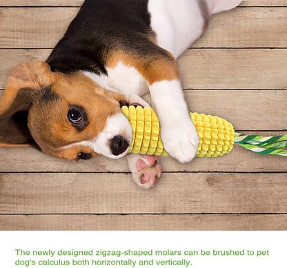 Chew Toys for Aggressive Chewers