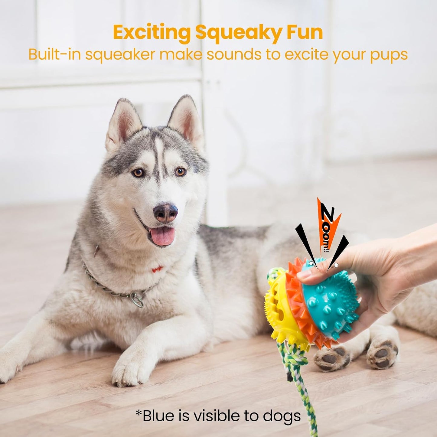 Squeaky Dog Toys for Aggressive Chewers