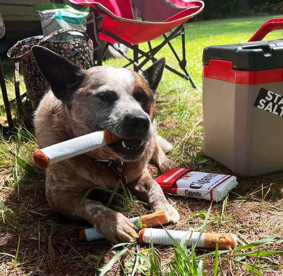 Cigarette Dog Toys Pack