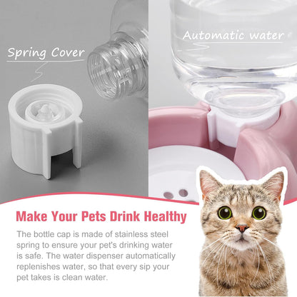 Small Dog Bowls, Food and Water Bowl Set with Water Dispenser