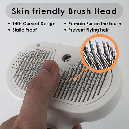 Mist Massage Brush