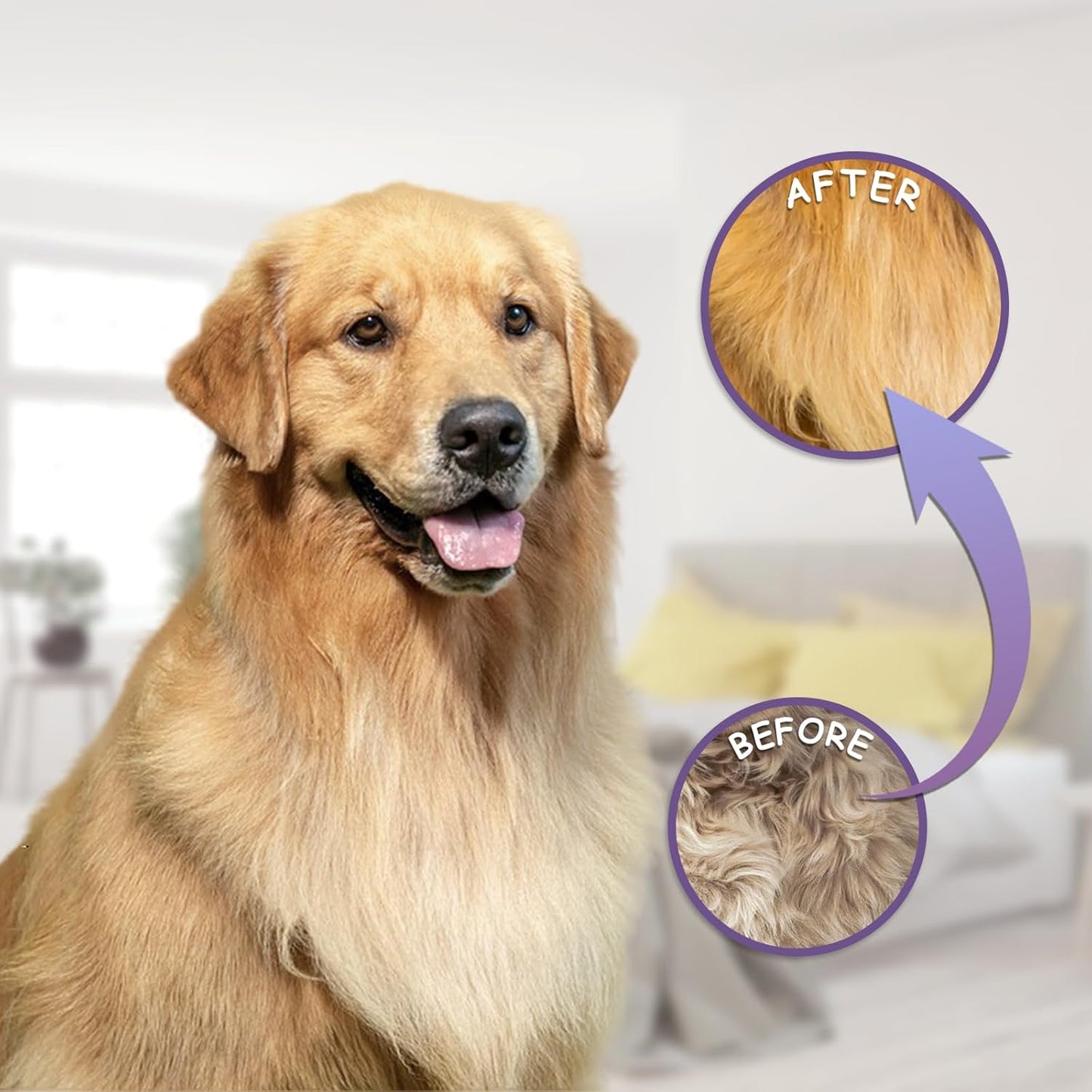 Detangling Pet Comb for Dog