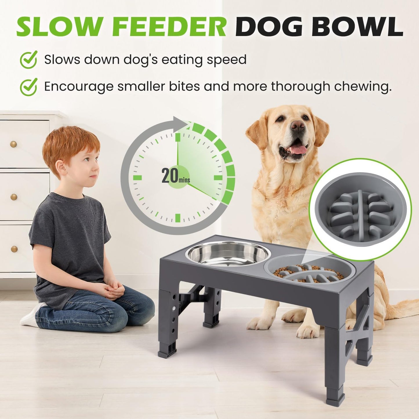 Elevated Dog Bowls