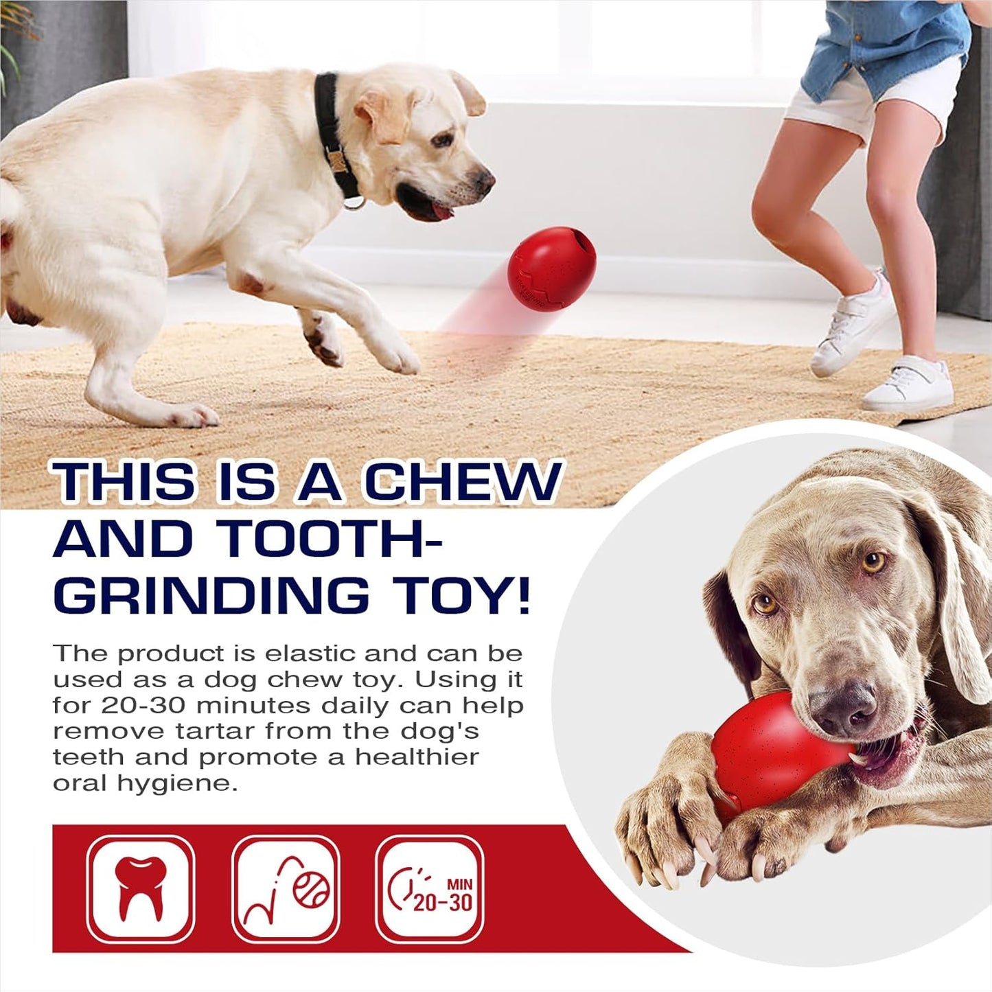 Dog Stuffable Toy For Tough Wet Food Cups