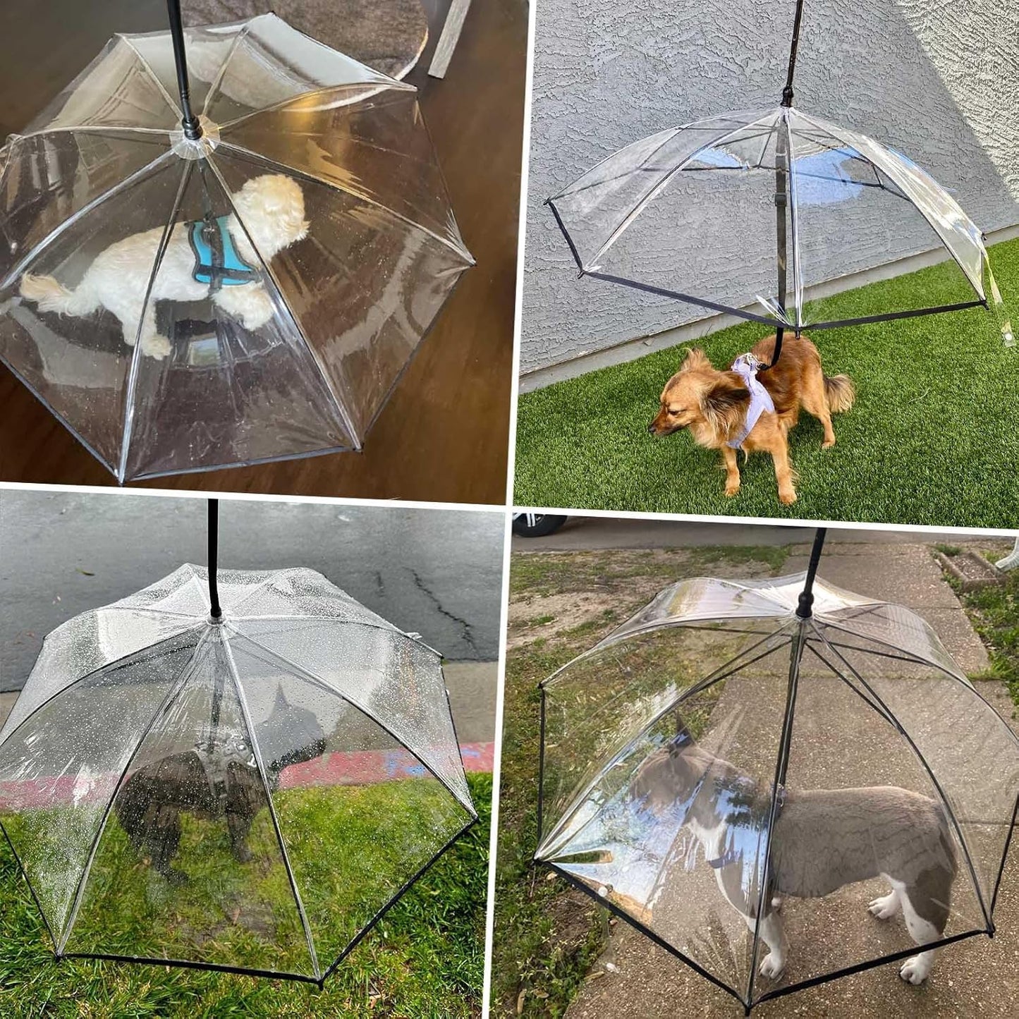 Transparent Pet Rain Umbrella