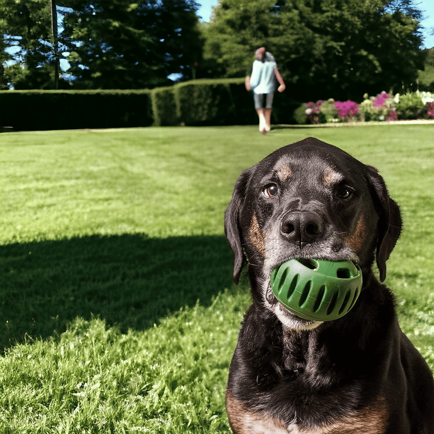 Pet Pupsicle - Dogs’Top Choice Toy 🐾