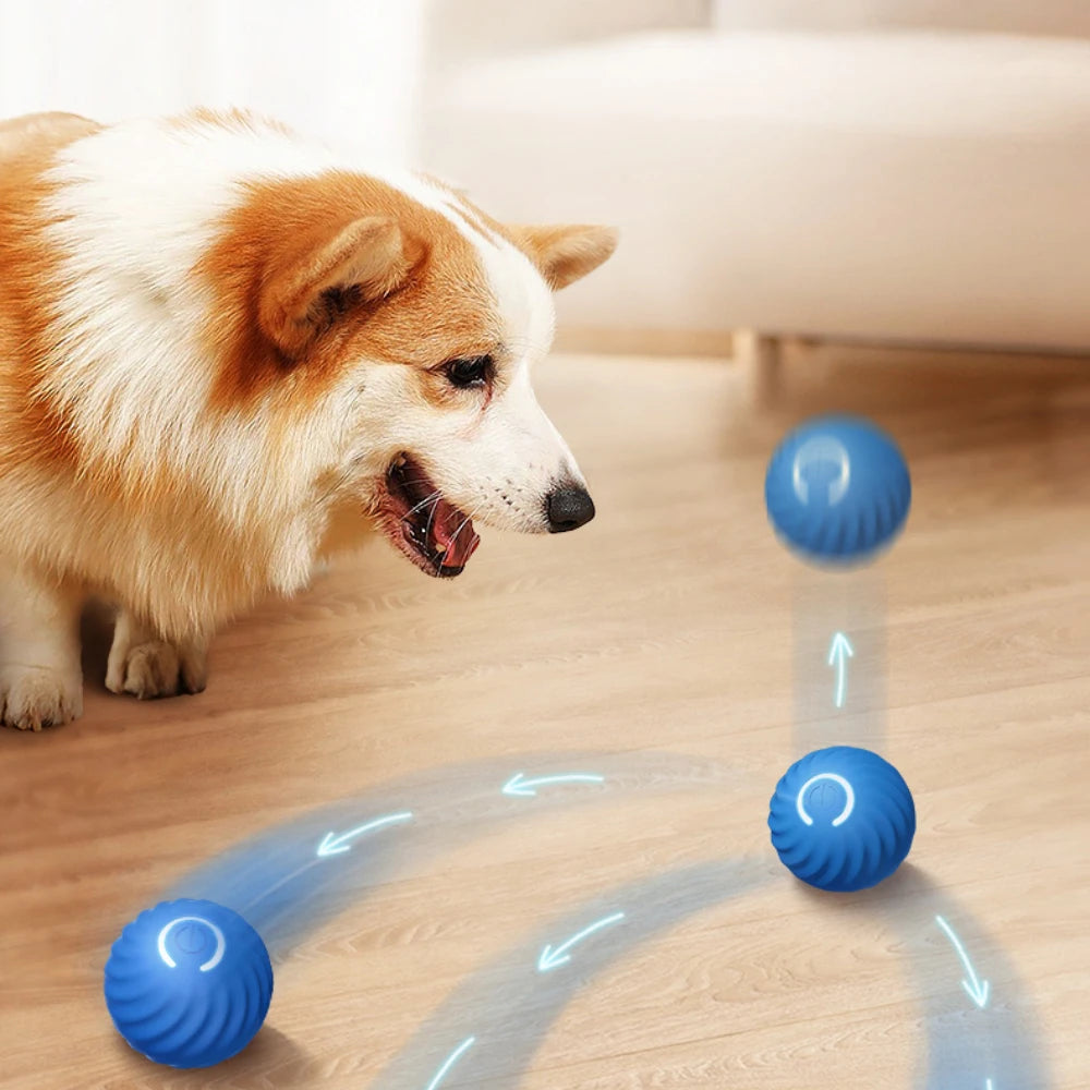 Automatic Smart Teasing Dog Ball 🐶