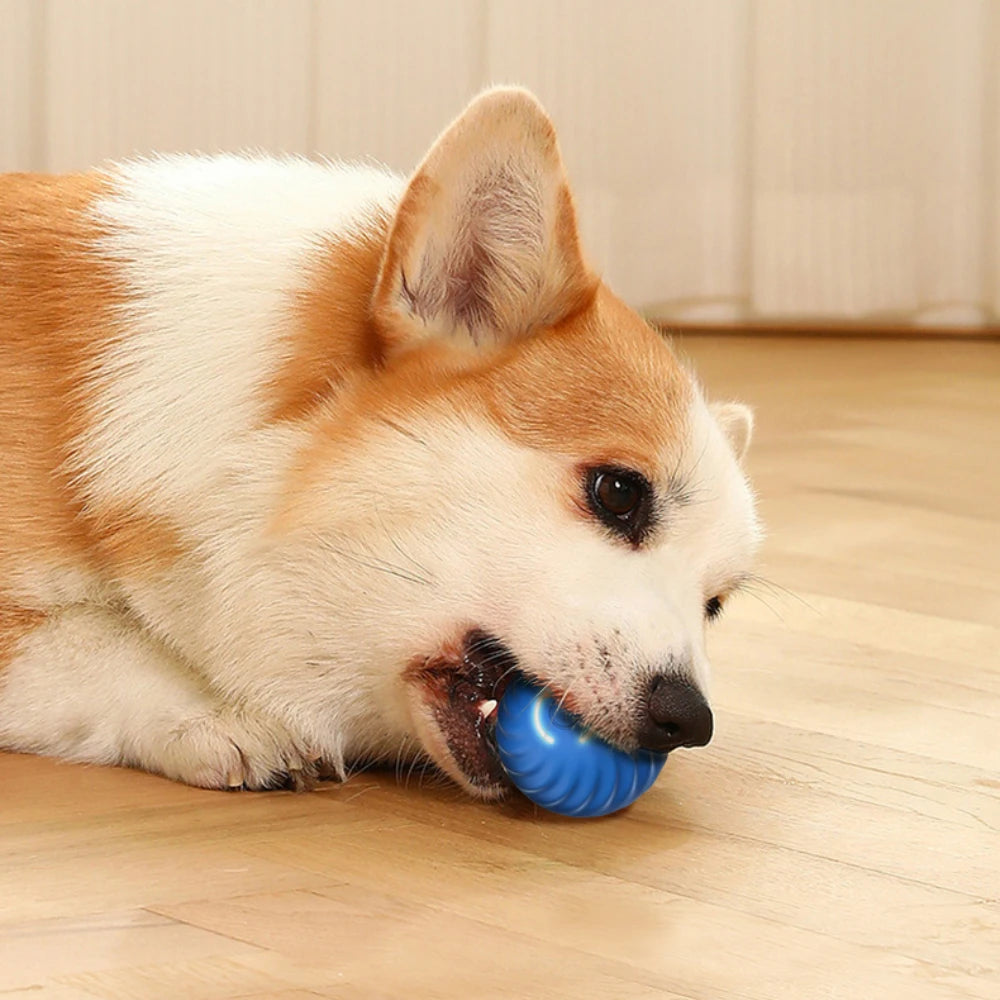 Automatic Smart Teasing Dog Ball 🐶