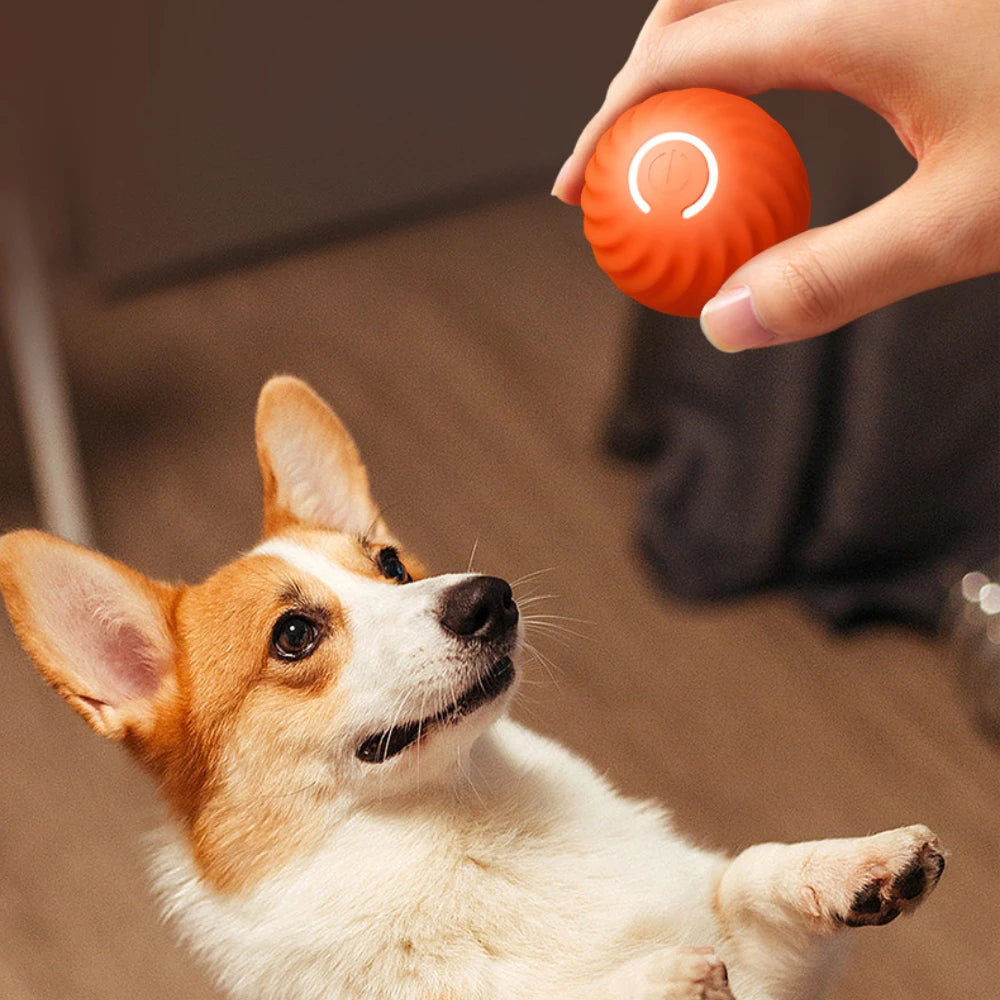 Automatic Smart Teasing Dog Ball 🐶