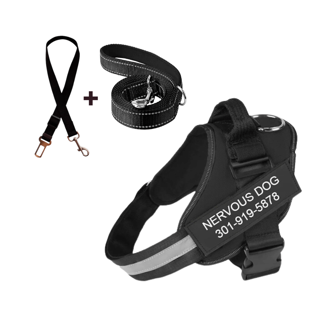 Dog Harness + Free Leash & Safety Belt