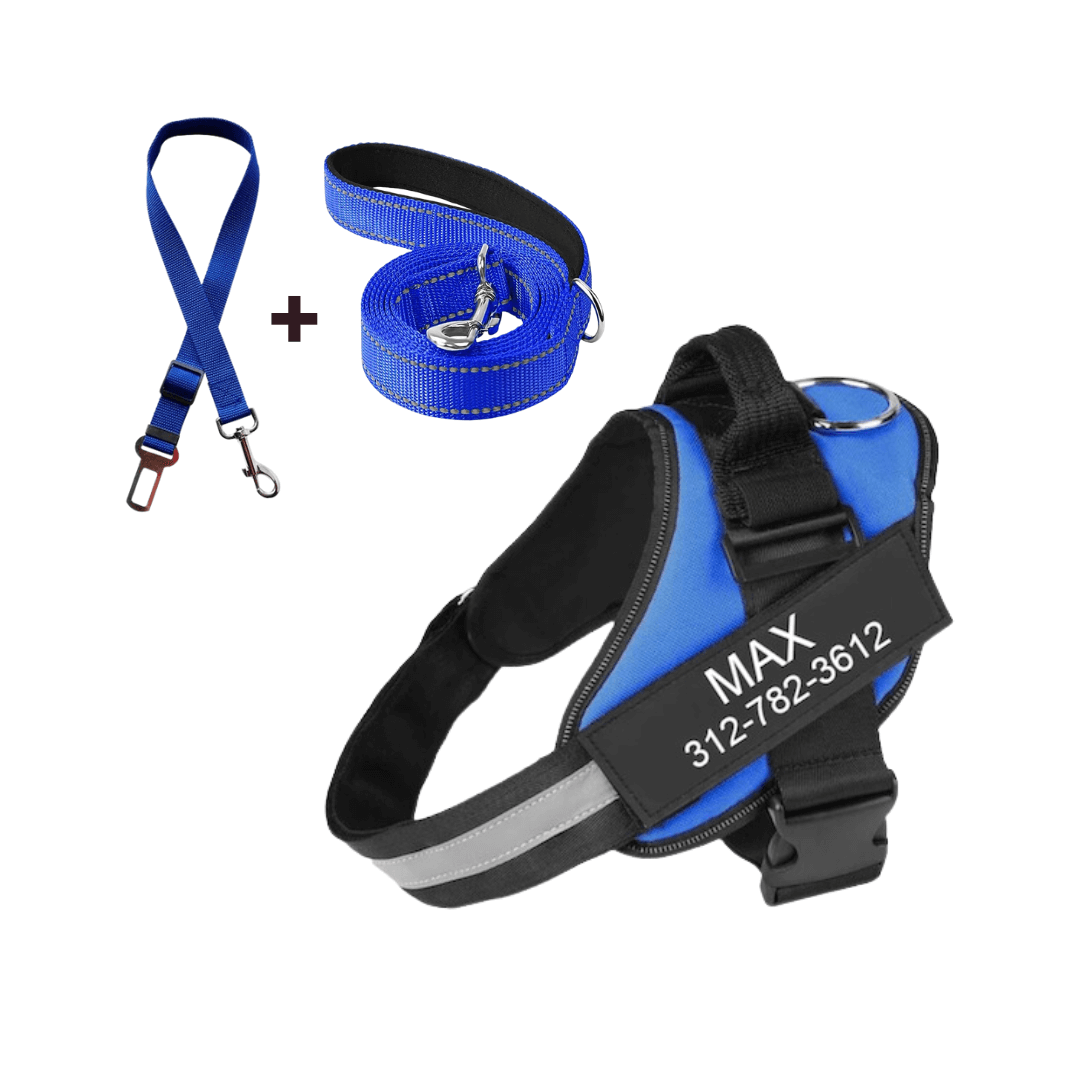 Dog Harness + Free Leash & Safety Belt