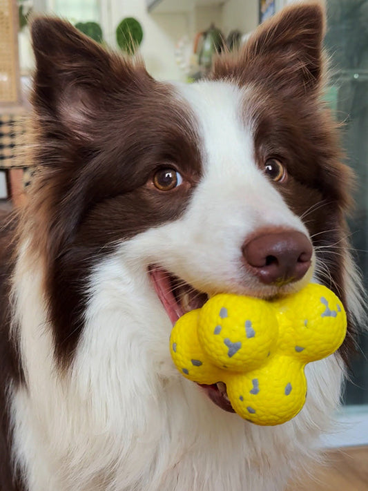 Calming Balls for Dog