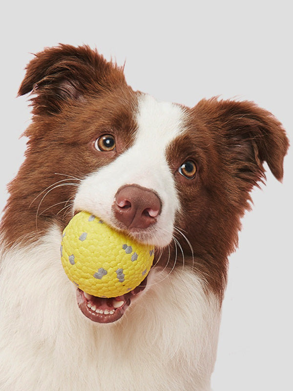 Calming Balls for Dog