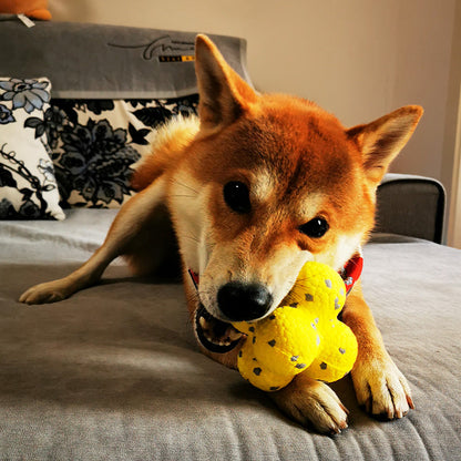 Calming Balls for Dog