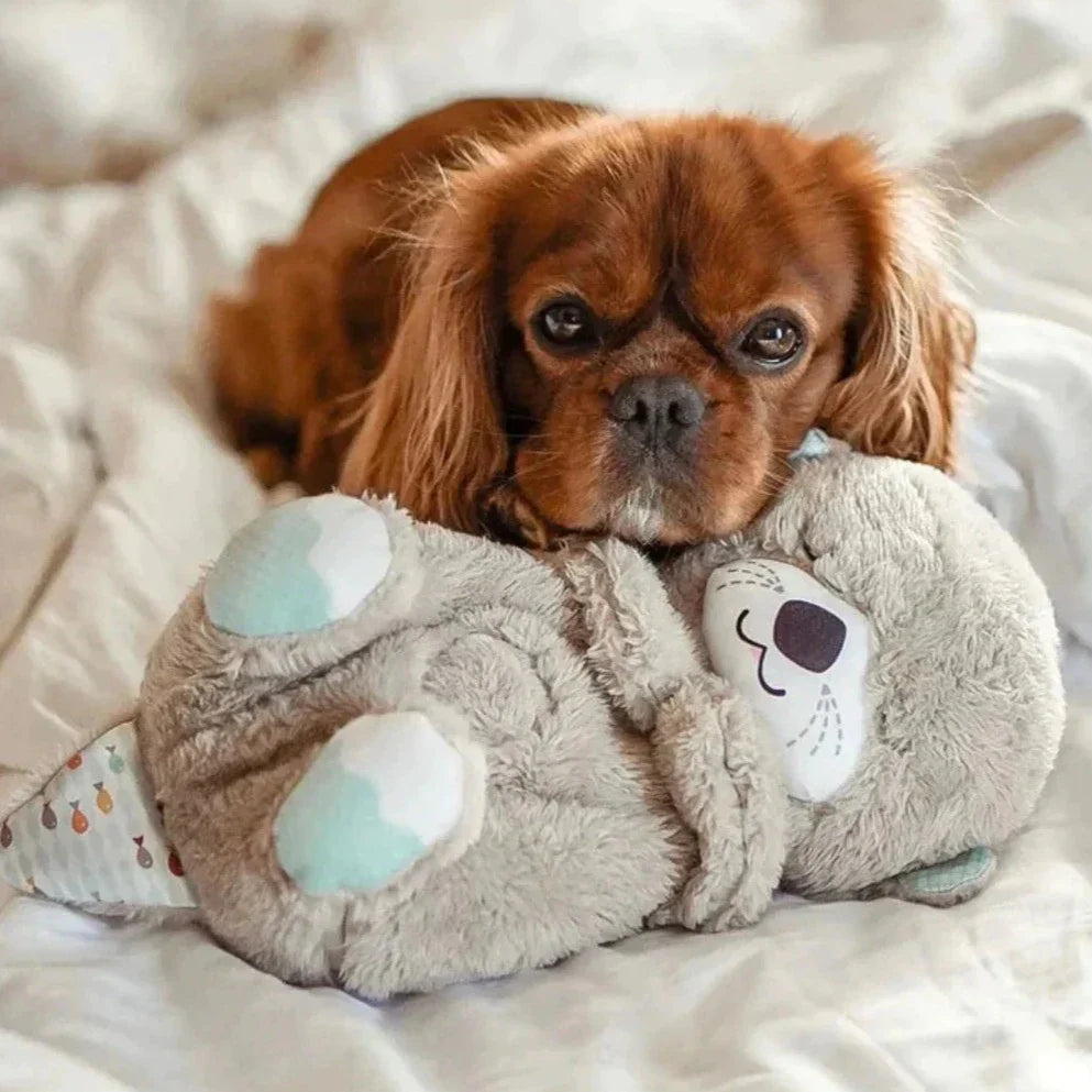 Calming Otter Plush Dog Buddy