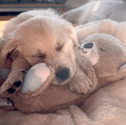 Calming Otter Plush Dog Buddy