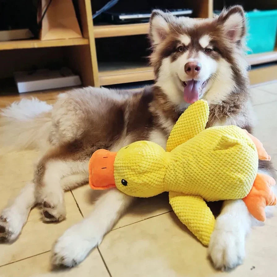 Calming Duck Dog Toy