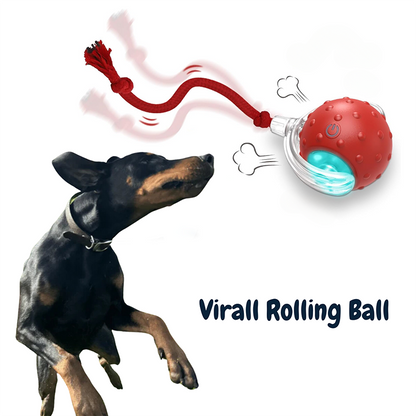 2024 New - Interactive Rolling Ball for Cat & Dog