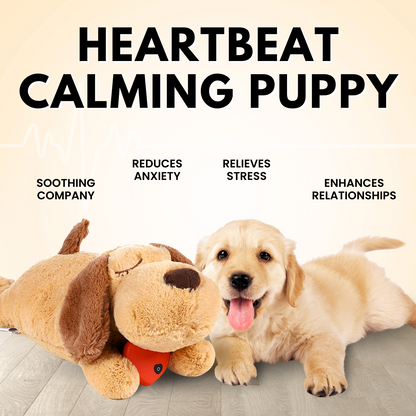 The Calming Puppy