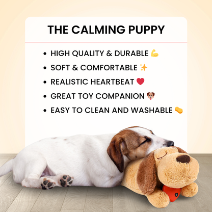 The Calming Puppy