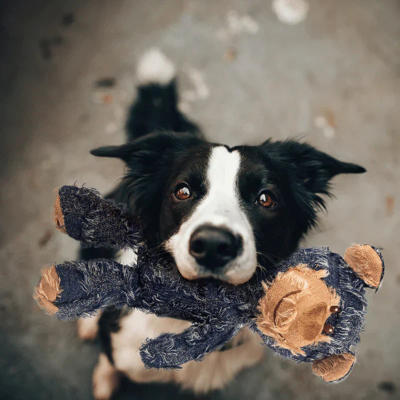 Indestructible & Interactive Bear Dog Toys For Heavy Chewers