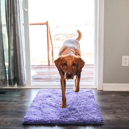 Absorbent Dog Mat