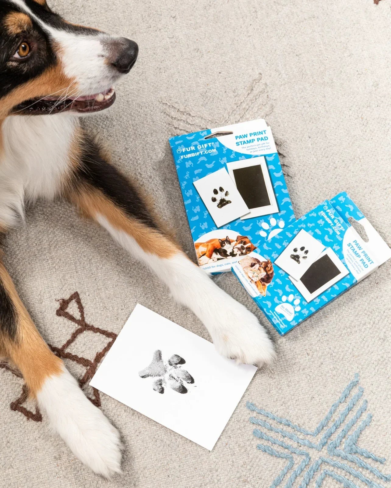 Paw Print Stamp Pad