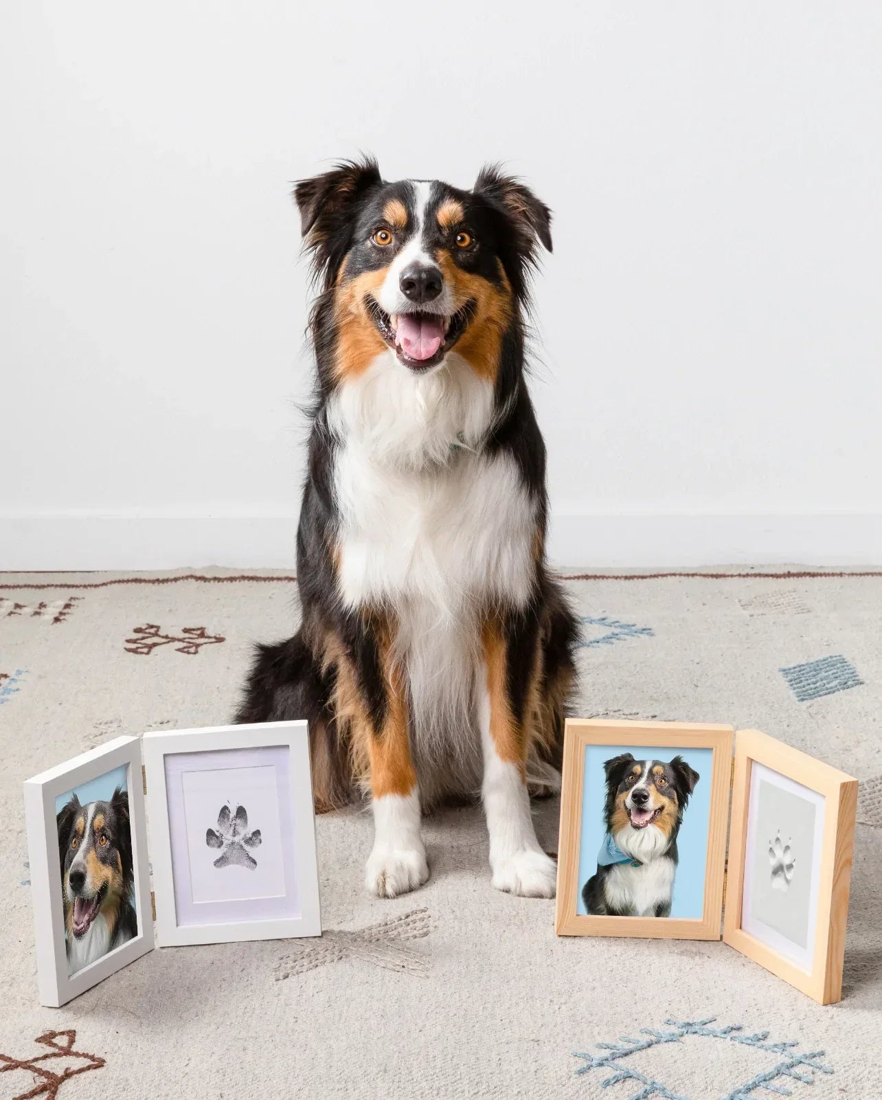 Paw Print Stamp Pad