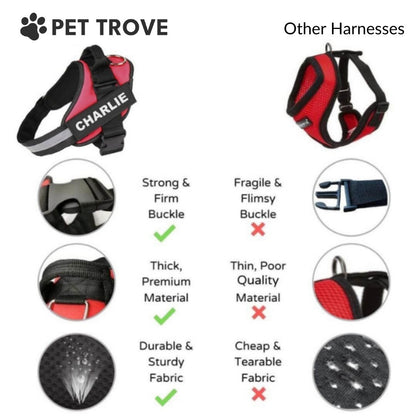 Dog Harness + Free Leash & Safety Belt